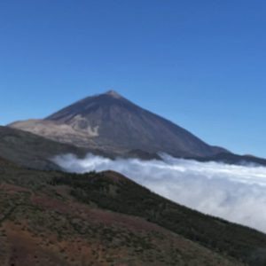 IMG_2866